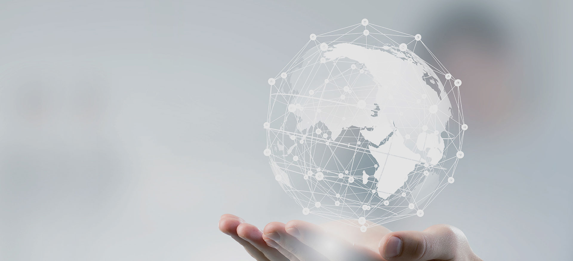 江苏恒茂鑫主营业务概况